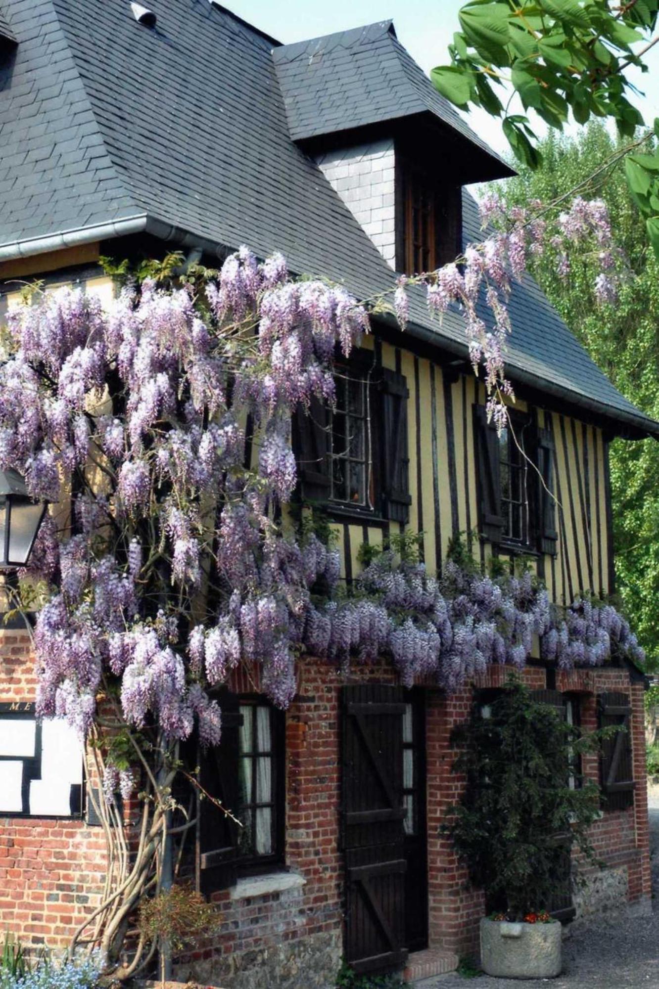 Auberge Du Val Au Cesne Saint-Clair-sur-les-Monts ภายนอก รูปภาพ