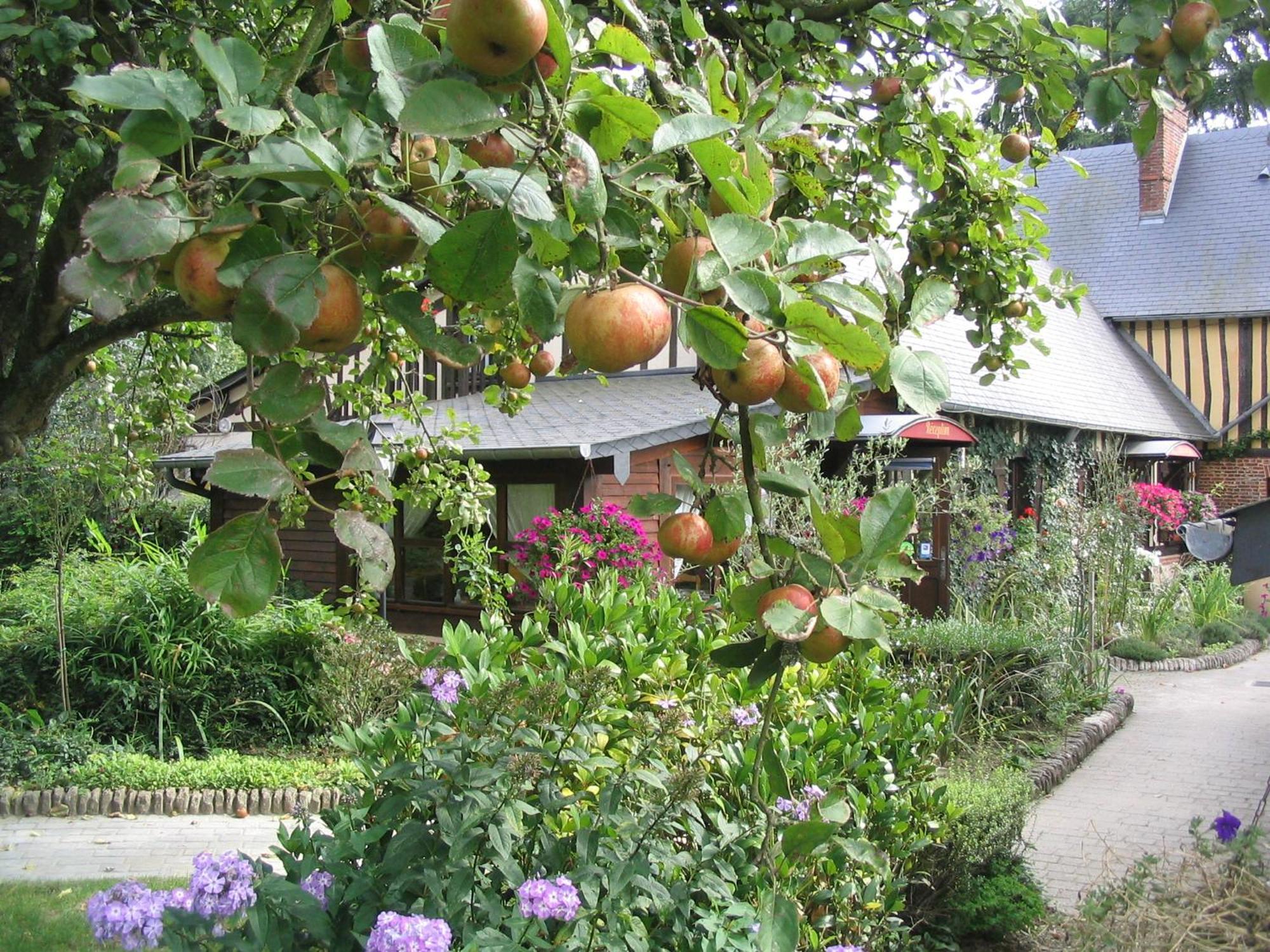 Auberge Du Val Au Cesne Saint-Clair-sur-les-Monts ภายนอก รูปภาพ