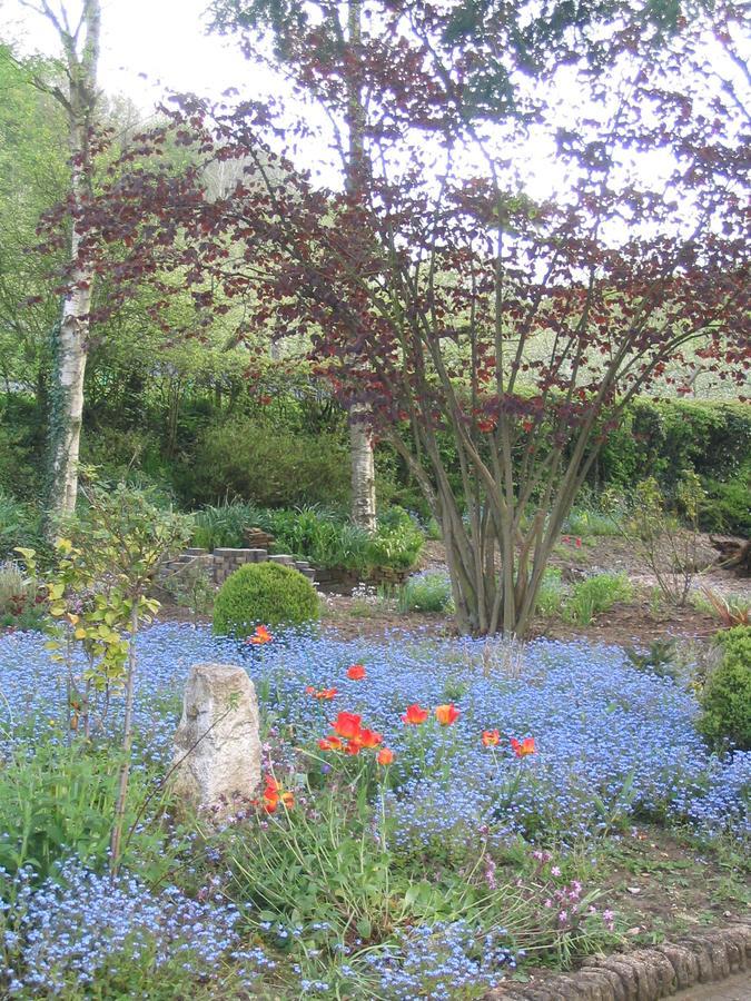 Auberge Du Val Au Cesne Saint-Clair-sur-les-Monts ภายนอก รูปภาพ